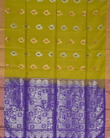 Light green soft silk saree