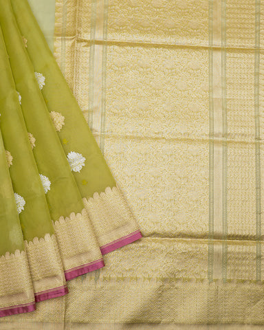 Pista green kora banarasi saree