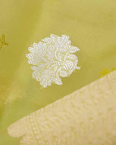 Pista green kora banarasi saree