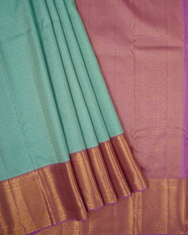 Sky blue kanjivaram silk saree